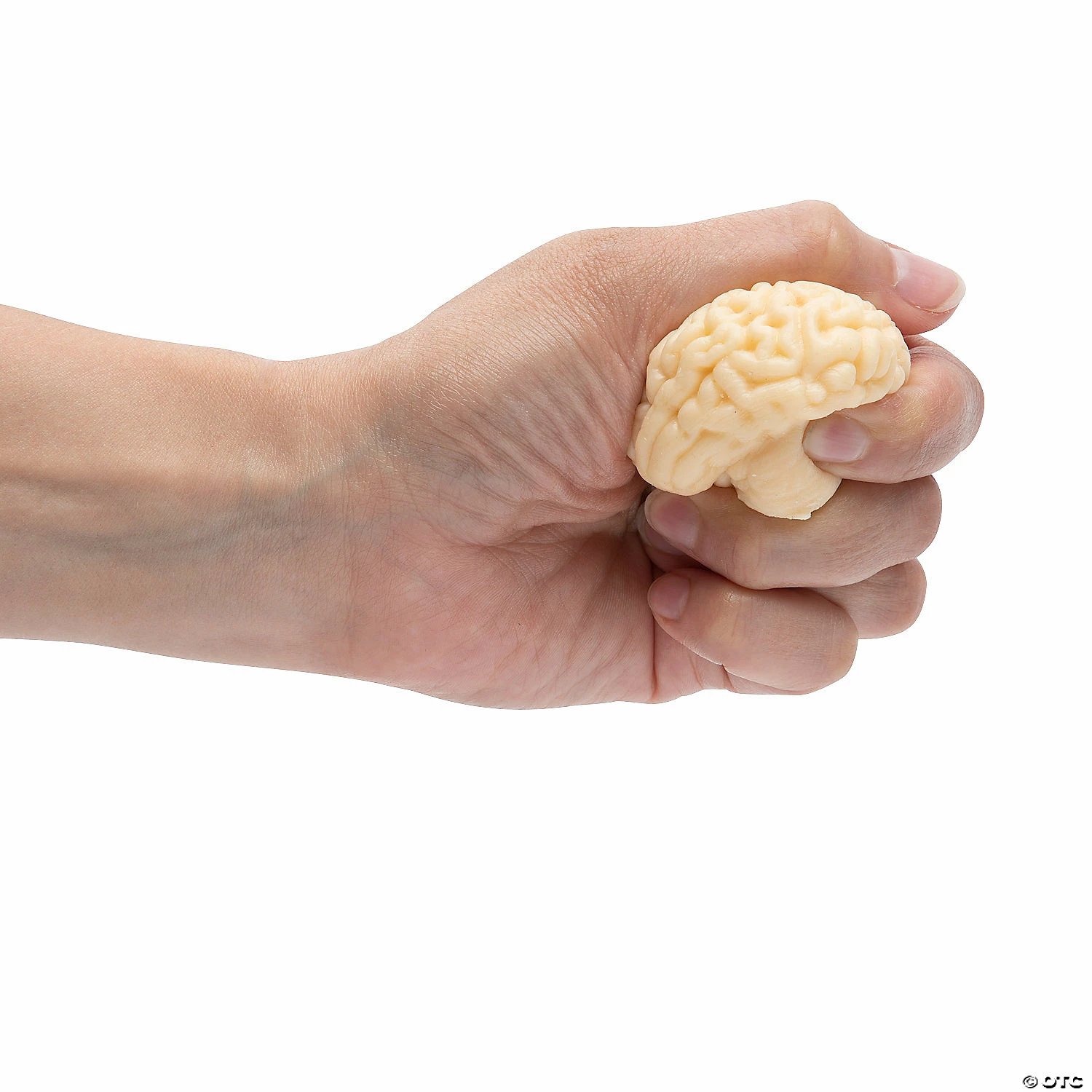 Wholesale ✔️ Realistic Sticky Brains - 12 Pc. ⌛ - Image 2